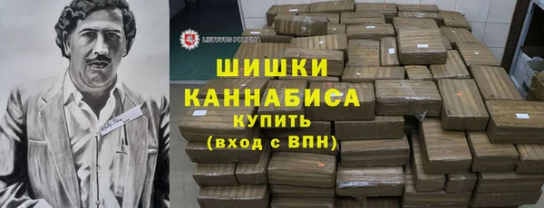 прущие грибы Бородино