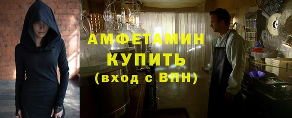 прущие грибы Бородино