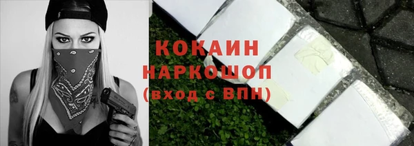 прущие грибы Бородино