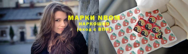 прущие грибы Бородино