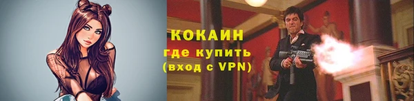 мдпв Бронницы