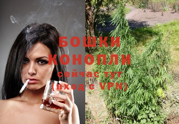 прущие грибы Бородино