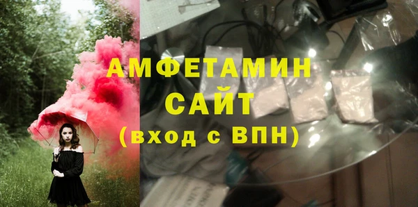 прущие грибы Бородино