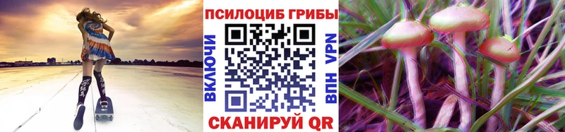 MEGA ссылки  Кириллов  Галлюциногенные грибы Magic Shrooms 