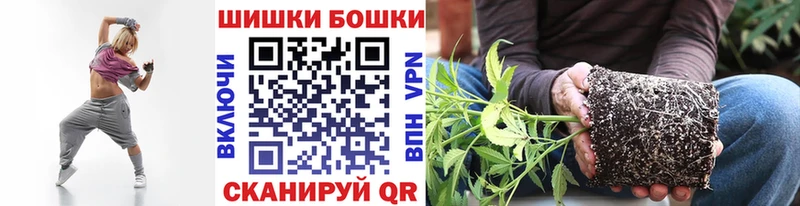 Канабис конопля  магазин продажи   Кириллов 